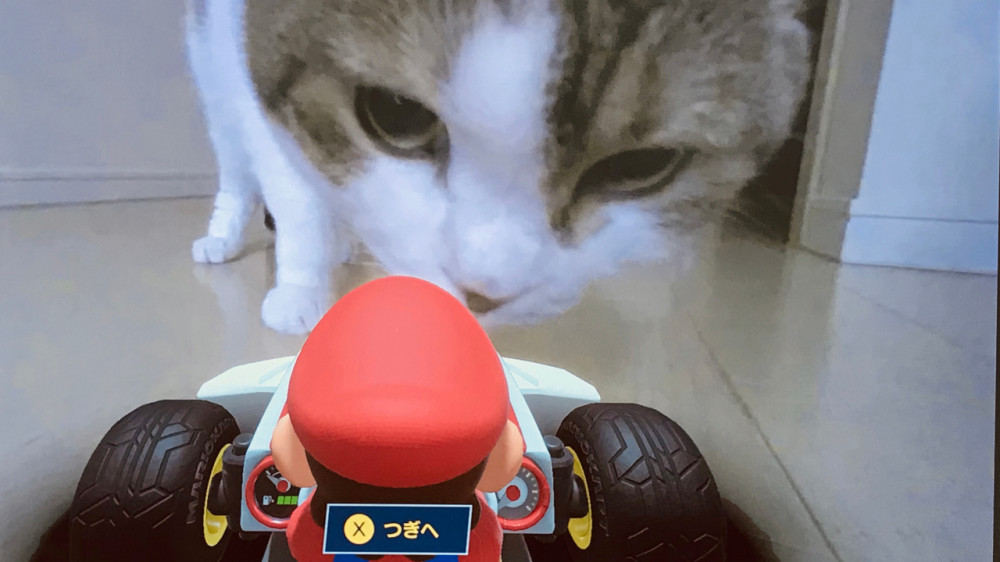 Home Race with Mario Kart Live: Home Circuit
