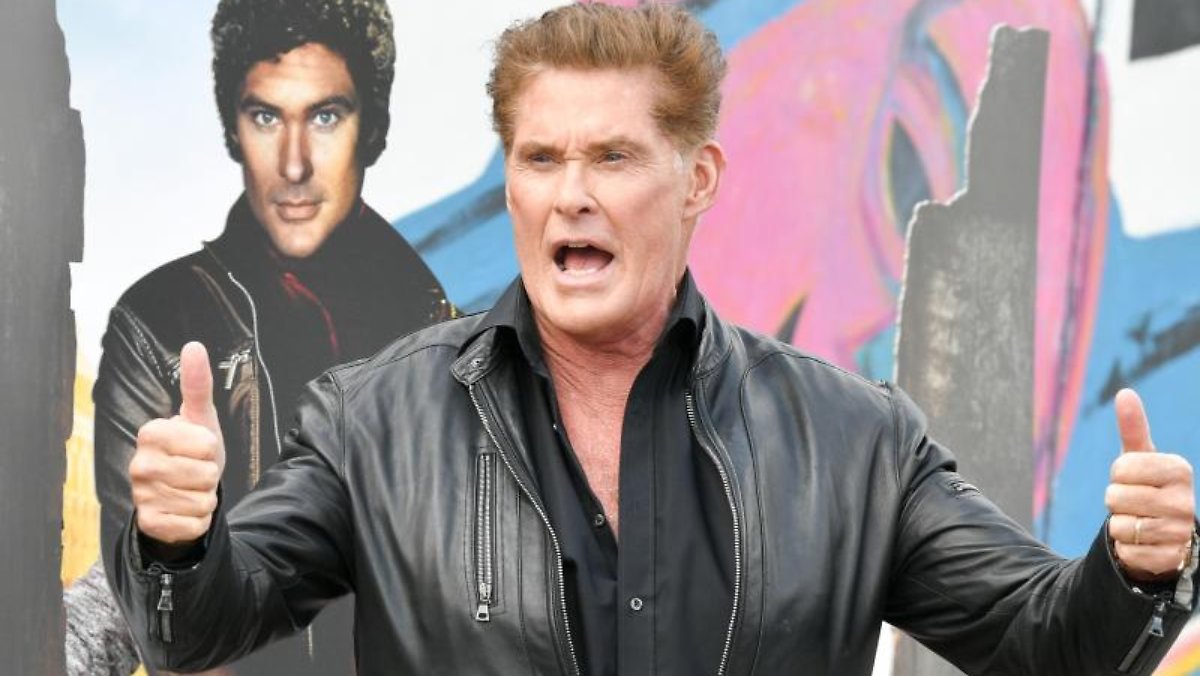 Played by: “The Hoff” portrays a TVNOW proxy series