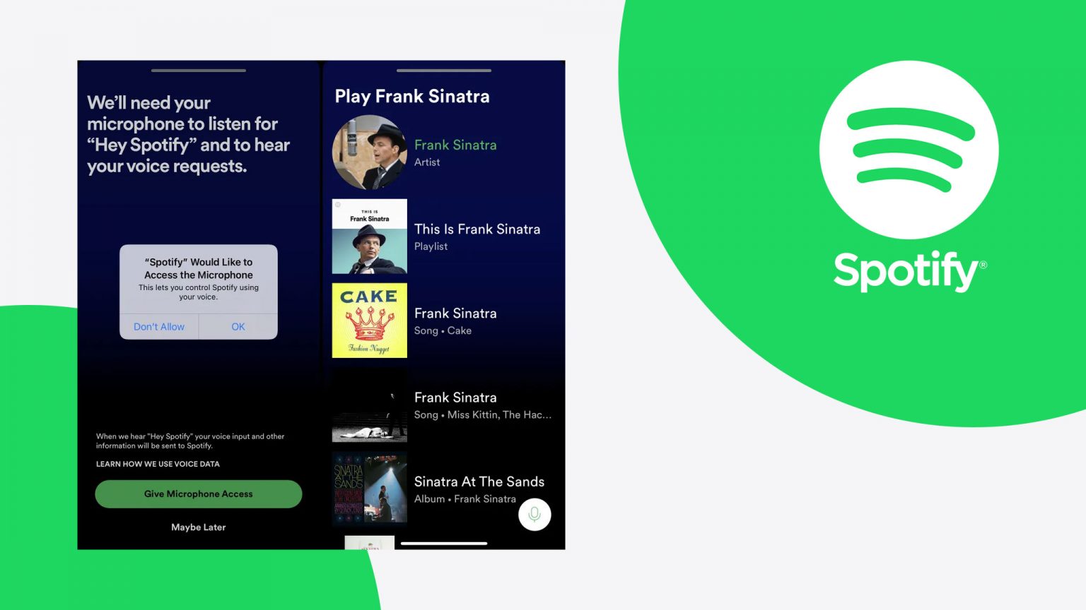 Spotify: The app can now be controlled with voice commands