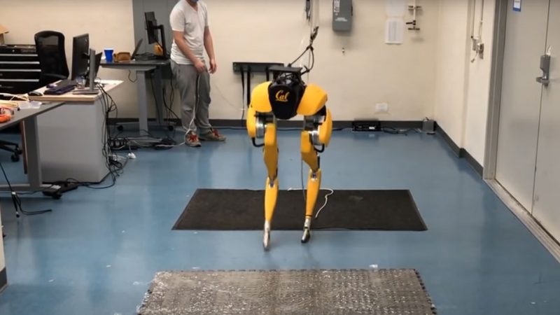 The AI ​​gets you moving: The robot learns to walk independently
