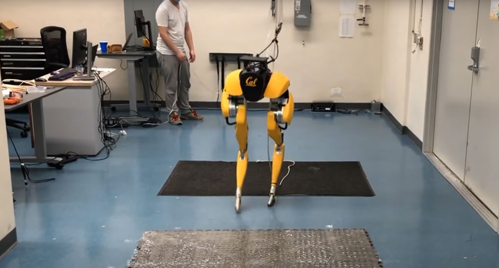 The AI ​​gets you moving: The robot learns to walk independently