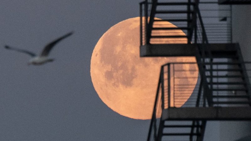 This is the night of the pink Superluna, here’s how and when to see it in Italy