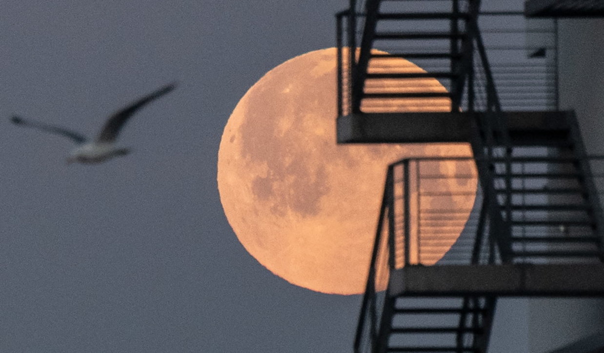 This is the night of the pink Superluna, here’s how and when to see it in Italy