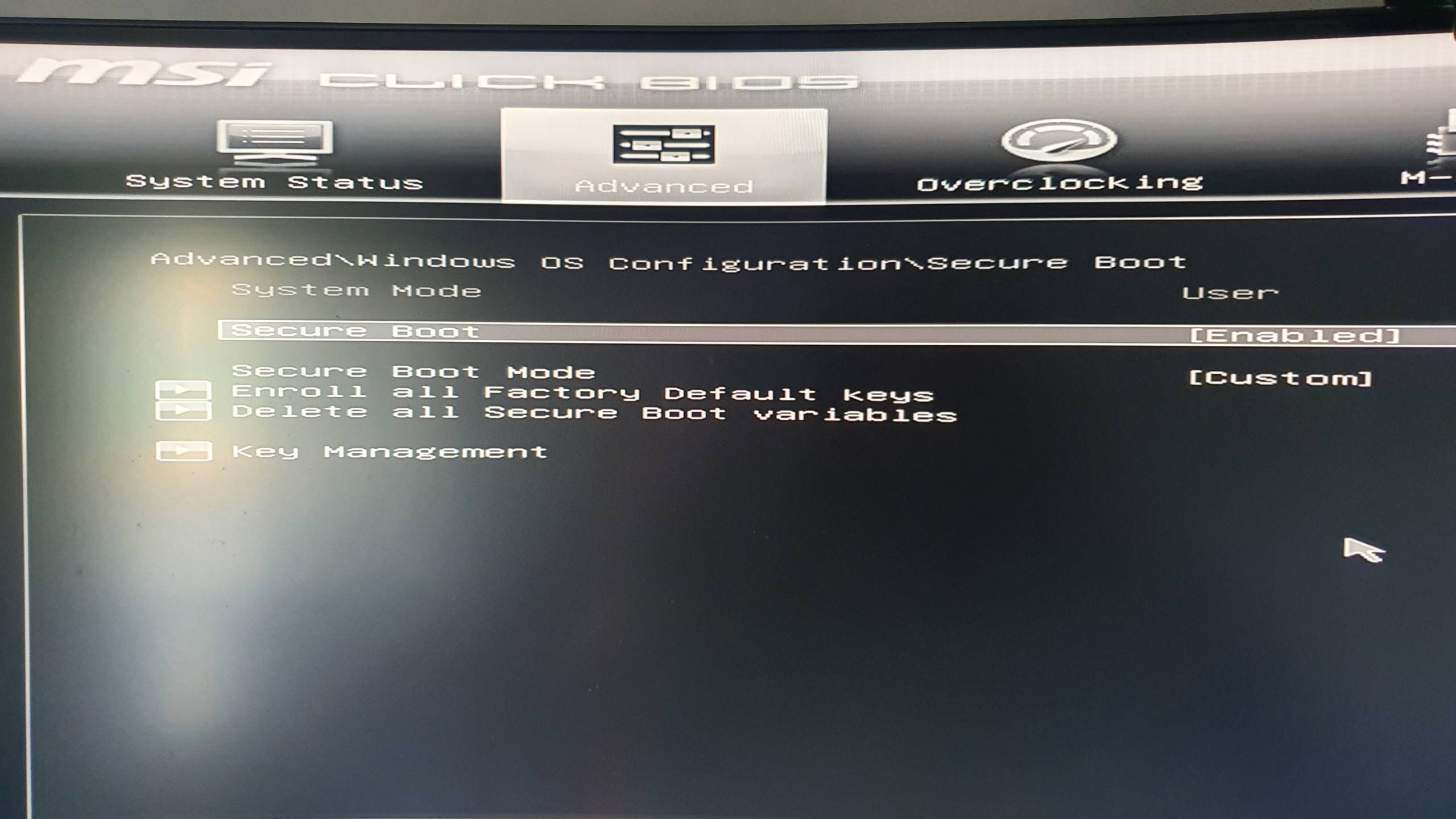 Enable Secure Boot from BIOS