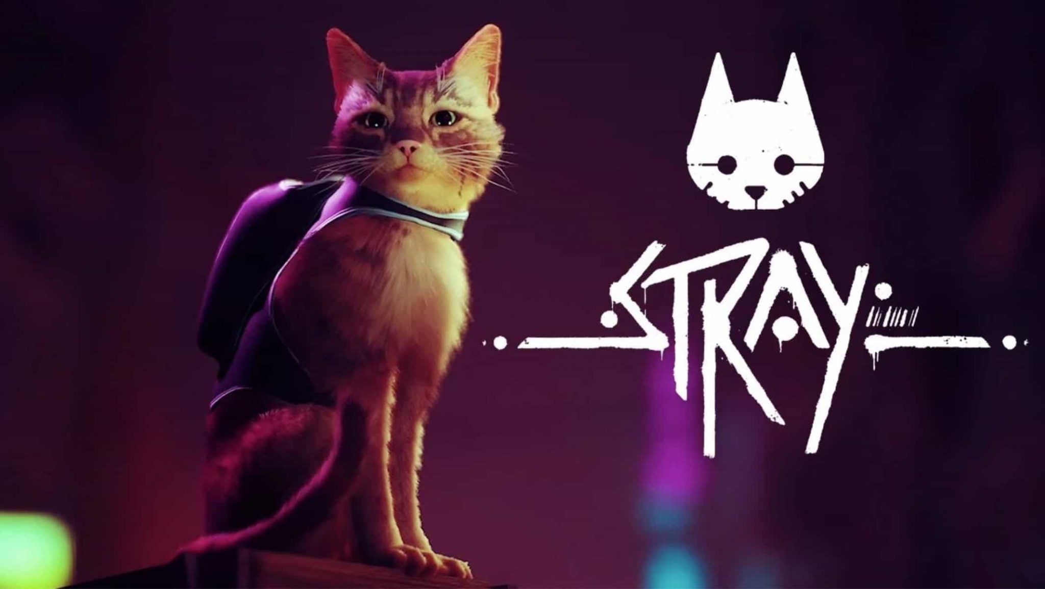 Stray video game that will immerse you in the skin of a cat