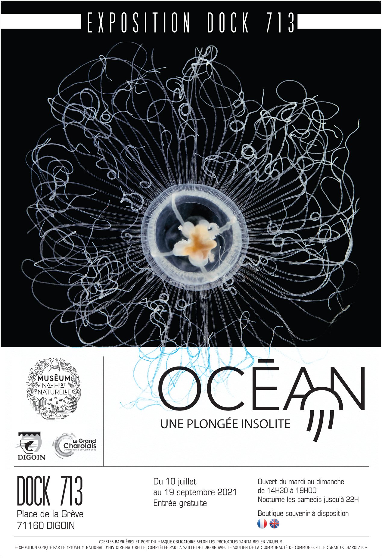 DIGOIN: “Ocean, Extraordinary Diving”, an exhibition designed by the Museum of Natural History in Paris