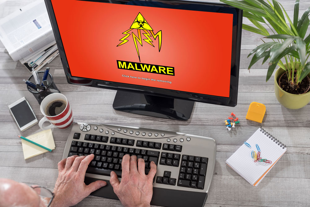 11 Categories of Malware
