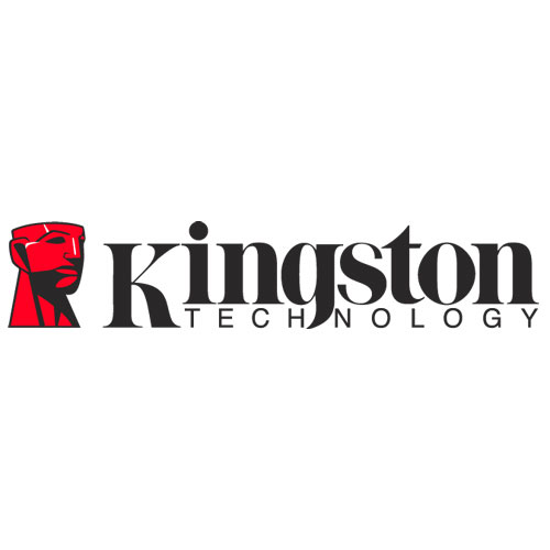 Kingston: Tech gadgets that can’t be lost on vacation