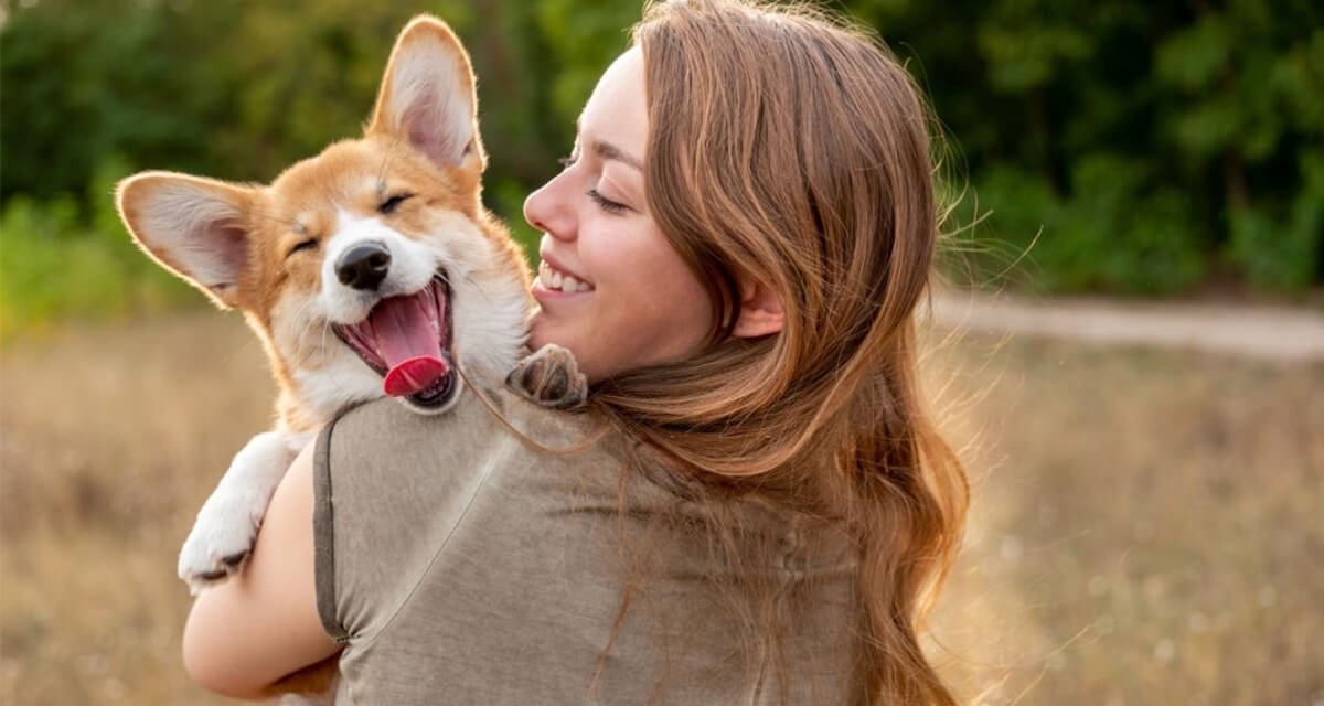 8 applications que vous devez installer sur votre téléphone portable si vous avez un chien