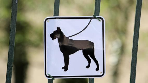 Controversy over dogs escalates: a woman hits, steals and bites – Lauf ad Pegnitz