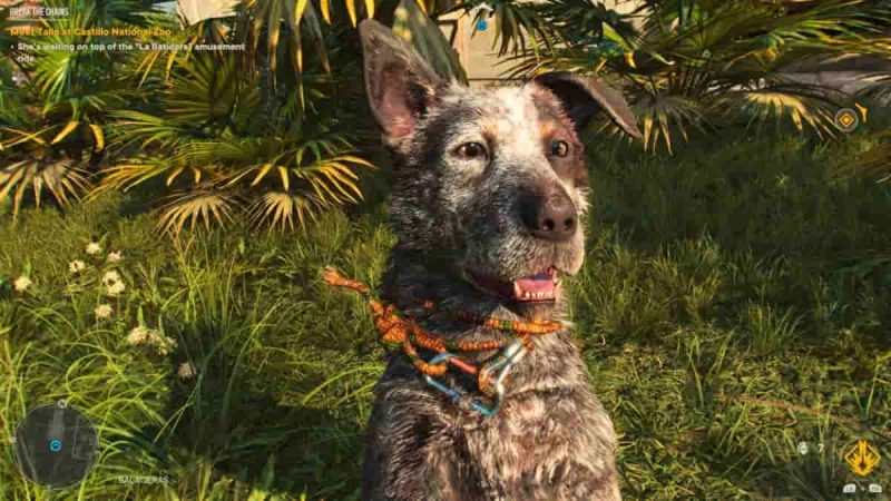 Far Cry 6: How do you get the Boom Boom dog into the video game?