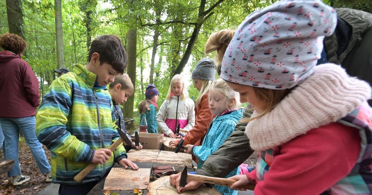 Autumn holidays with a forester: nature instead of computers – VG Römerberg-Dudenhofen