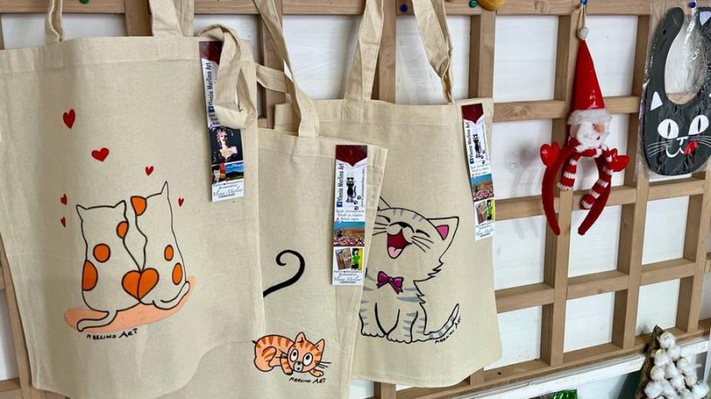 Christmas gifts “purr” with the Cat Protection Association.  Tools and calendars to help the worst cats [FOTOGALLERY]
