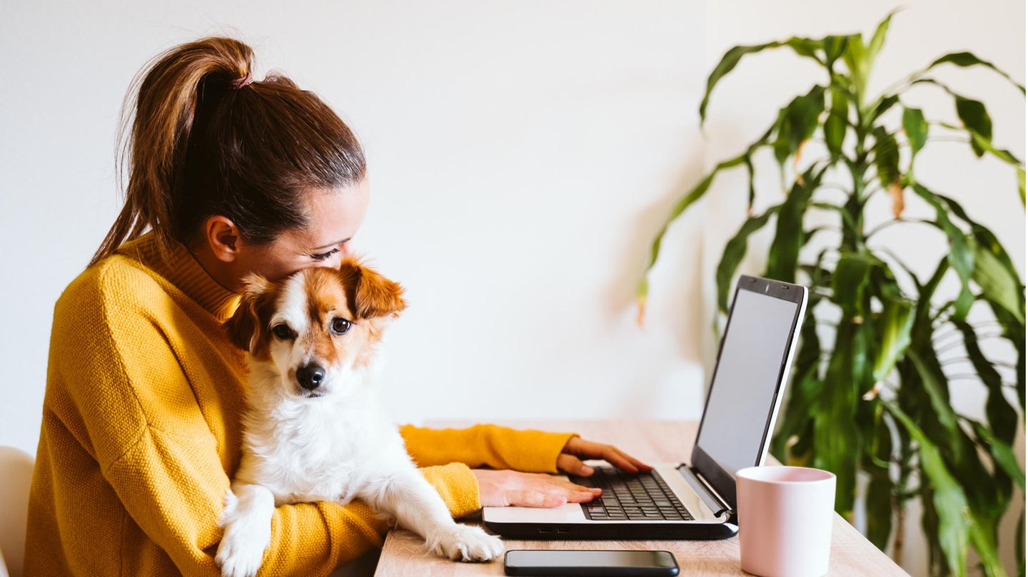 Working from Home: Why Introverts Really Thrive in the Home Office