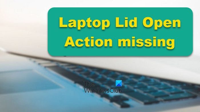 Laptop lid open in Power Options in Windows 11/10