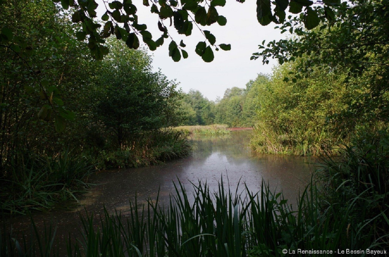 Rediscover the Aure Valley in Bayeux thanks to the mobile app