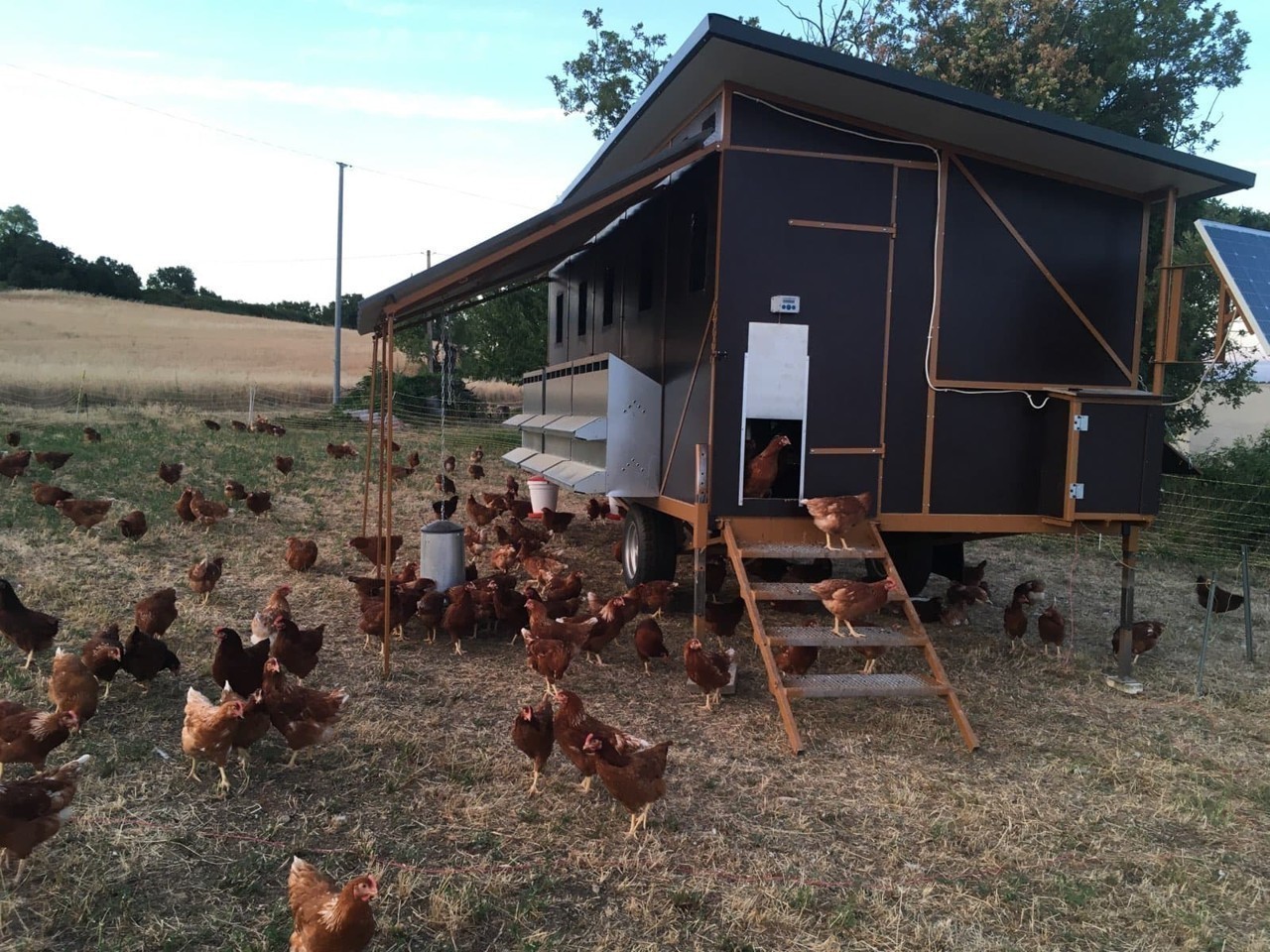 Alpes de Hauts Provence.  Mobile chicken coop at Morris Farm