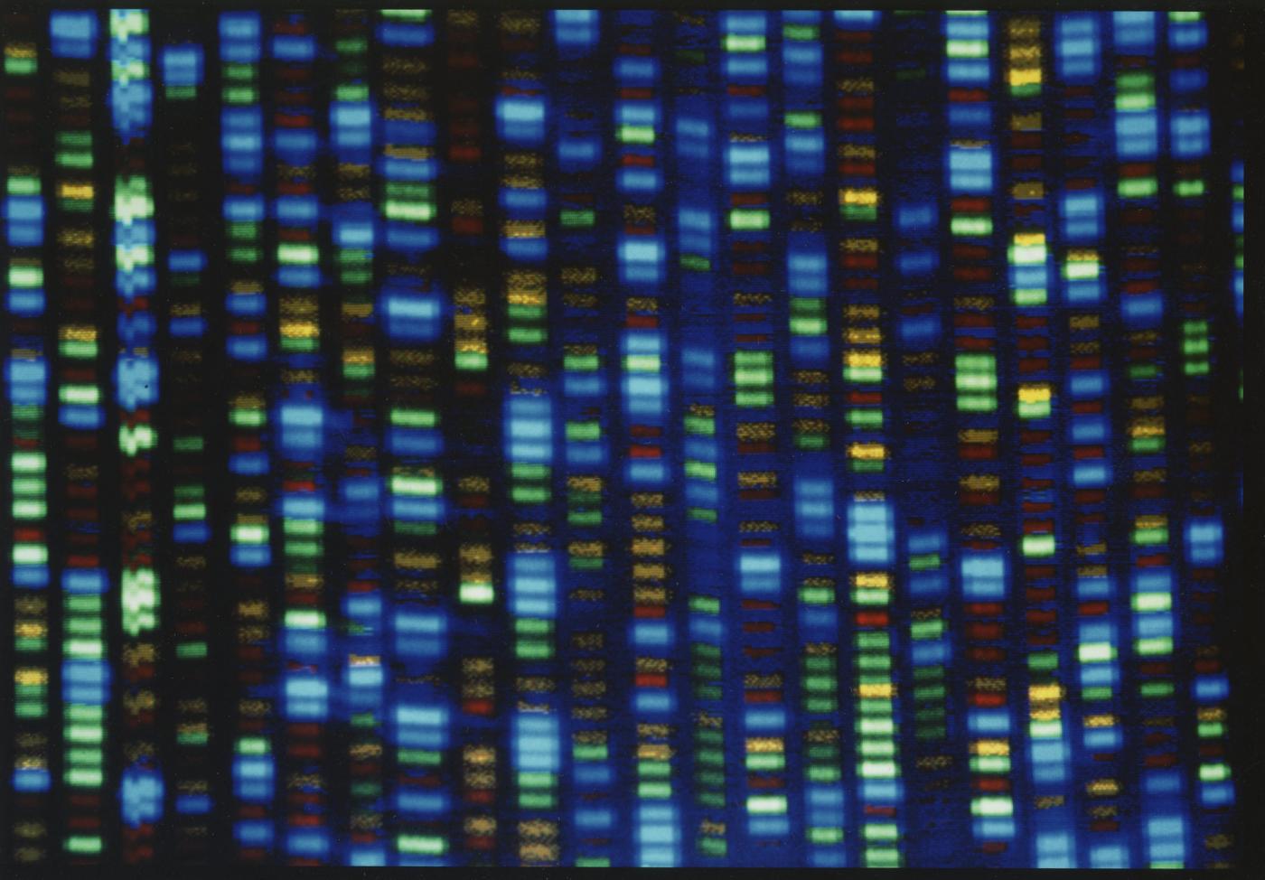 The map of the human genome has been completed after 21 years of research: “Vocabulary of DNA can detect rare diseases”