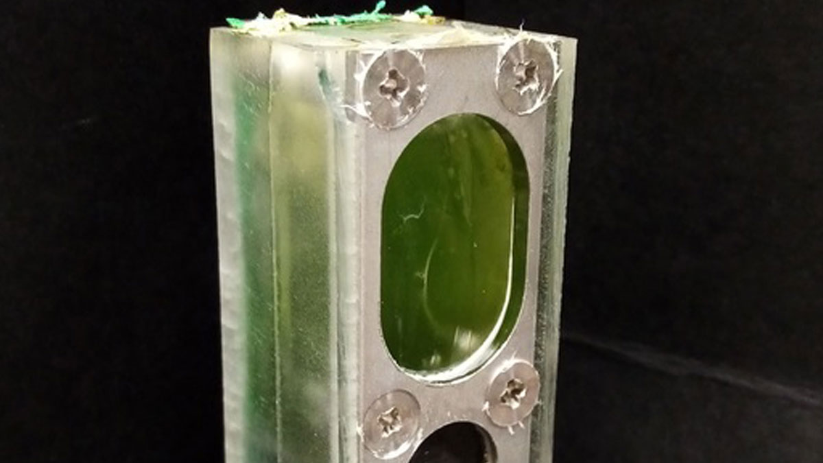 This algae-based generator will power a small computer for 6 months