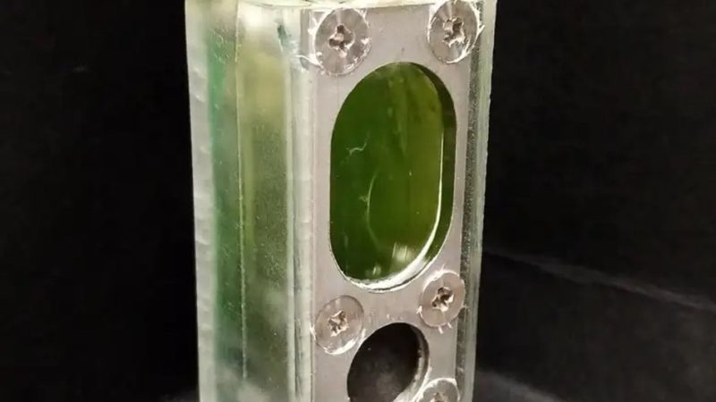 This little computer is powered by algae.