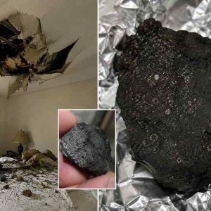 Meteorite That Crashed Into New Jersey Home May Hold Clues to the Origins of Life, Scientists Say Meteorite That Crashed Into New Jersey Home May Hold Clues to the Origins of Life, Scientists Say