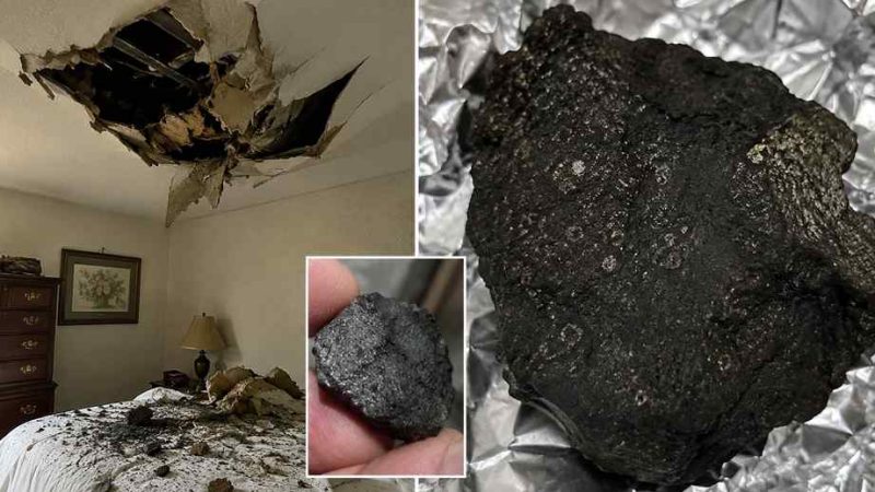 Meteorite That Crashed Into New Jersey Home May Hold Clues to the Origins of Life, Scientists Say