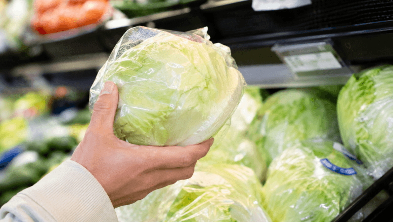 Is It Safe to Eat Lettuce Again? What Americans Should Know as the Cyclosporiasis Outbreak Continues